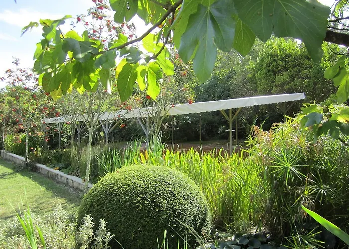 Chateau Bone Frühstückspension Gauriac